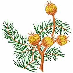 Plants Embroidery Design 1 Plants Embroidery Design 1